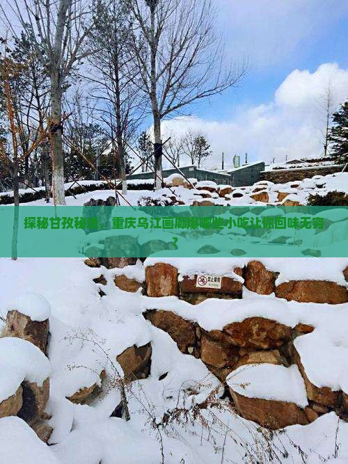 探秘甘孜秘境，重庆乌江画廊爆哪些小吃让你回味无穷？