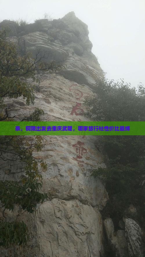 亲，铜陵出发去重庆武隆，哪家旅行社性价比最缚