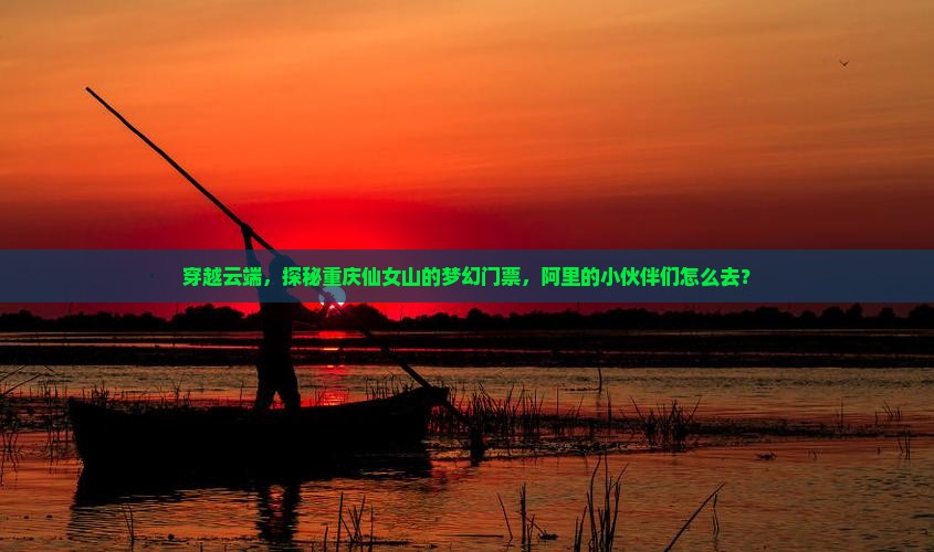 穿越云端，探秘重庆仙女山的梦幻门票，阿里的小伙伴们怎么去？