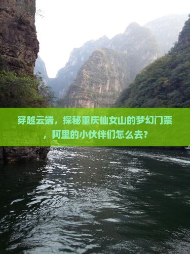 穿越云端，探秘重庆仙女山的梦幻门票，阿里的小伙伴们怎么去？