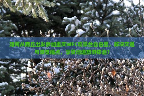 如何从商丘出发参加重庆WFC观景台自由团，解决交通与游览痛点，享受地道旅游体验？