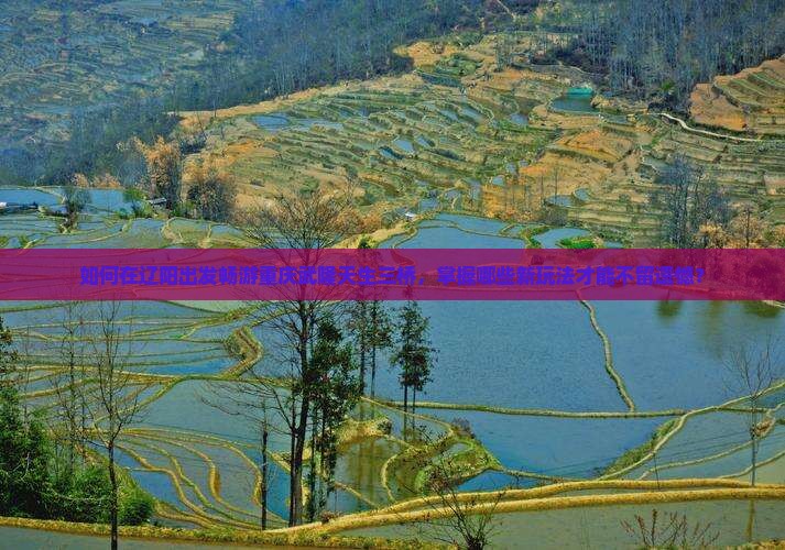 如何在辽阳出发畅游重庆武隆天生三桥，掌握哪些新玩法才能不留遗憾？
