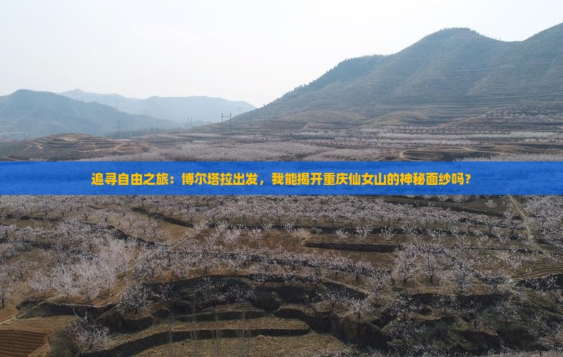 追寻自由之旅：博尔塔拉出发，我能揭开重庆仙女山的神秘面纱吗？