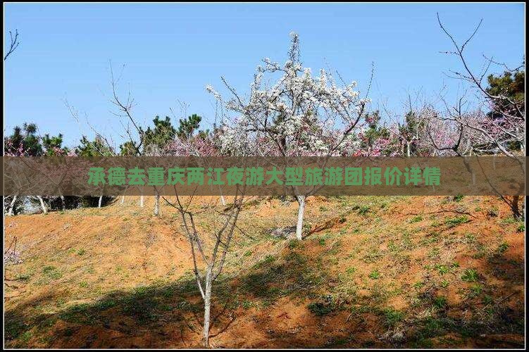 承德去重庆两江夜游大型旅游团报价详情
