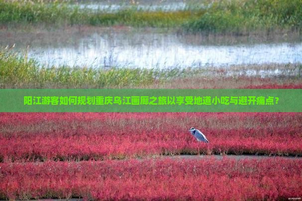 阳江游客如何规划重庆乌江画廊之旅以享受地道小吃与避开痛点？