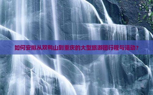 如何安排从双鸭山到重庆的大型旅游团行程与活动？