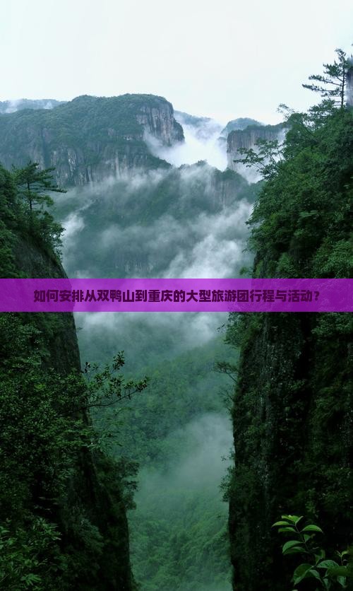 如何安排从双鸭山到重庆的大型旅游团行程与活动？