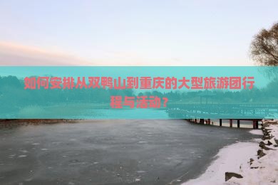 如何安排从双鸭山到重庆的大型旅游团行程与活动？