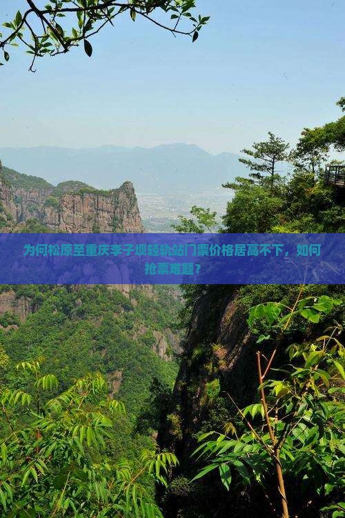 为何松原至重庆李子坝轻轨站门票价格居高不下，如何抢票难题？