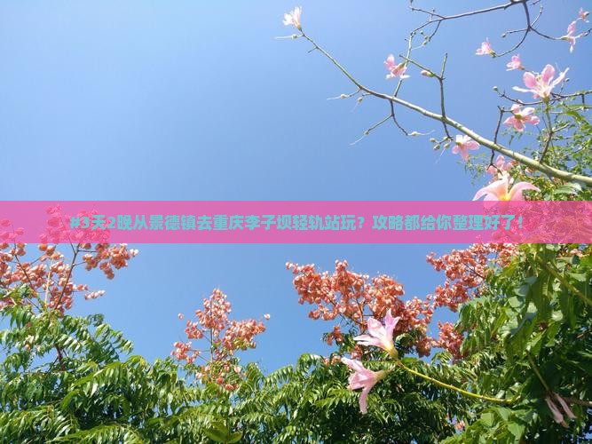 #3天2晚从景德镇去重庆李子坝轻轨站玩？攻略都给你整理好了！