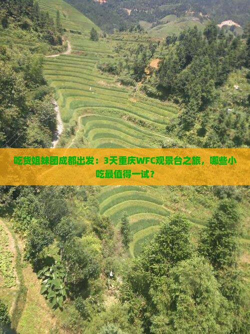 吃货姐妹团成都出发：3天重庆WFC观景台之旅，哪些小吃最值得一试？