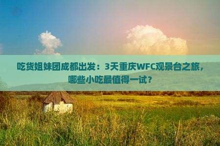 吃货姐妹团成都出发：3天重庆WFC观景台之旅，哪些小吃最值得一试？