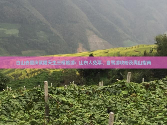 白山去重庆武隆天生三桥旅游：山东人免票、自驾游攻略及爬山指南