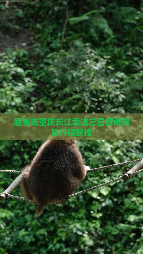 酒泉去重庆长江索道三日游费用及行程安排