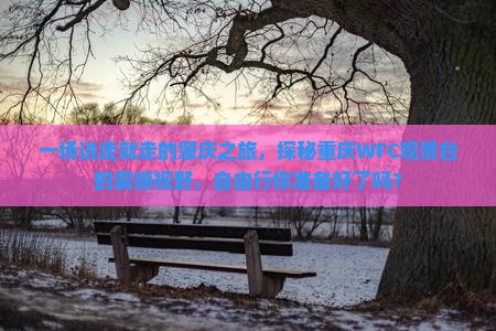 一场说走就走的肇庆之旅，探秘重庆WFC观景台的震撼视野，自由行你准备好了吗？
