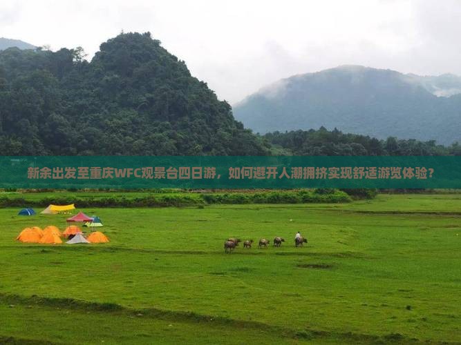 新余出发至重庆WFC观景台四日游，如何避开人潮拥挤实现舒适游览体验？