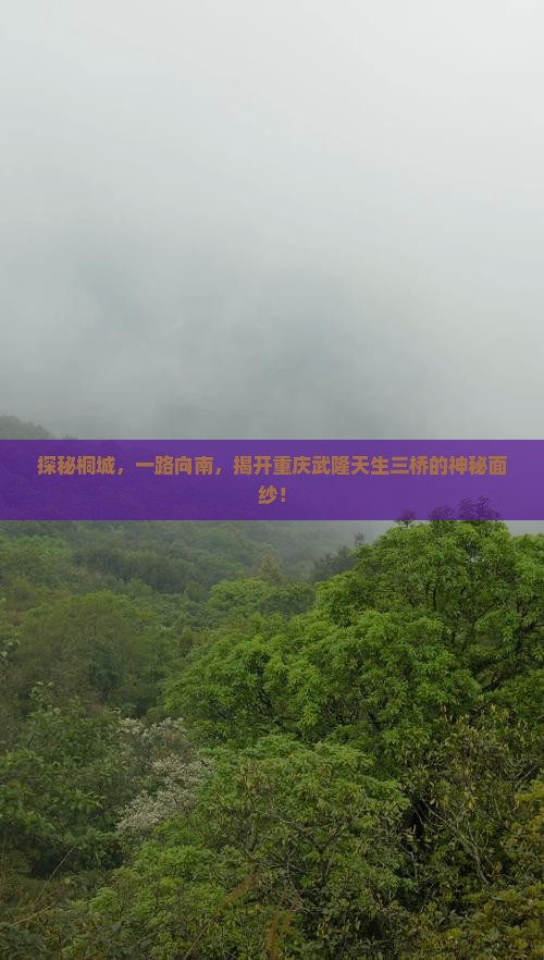 探秘桐城，一路向南，揭开重庆武隆天生三桥的神秘面纱！