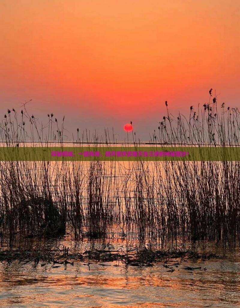 探秘桐城，一路向南，揭开重庆武隆天生三桥的神秘面纱！