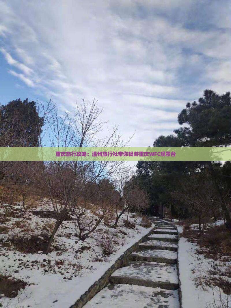 重庆旅行攻略：温州旅行社带你畅游重庆WFC观景台