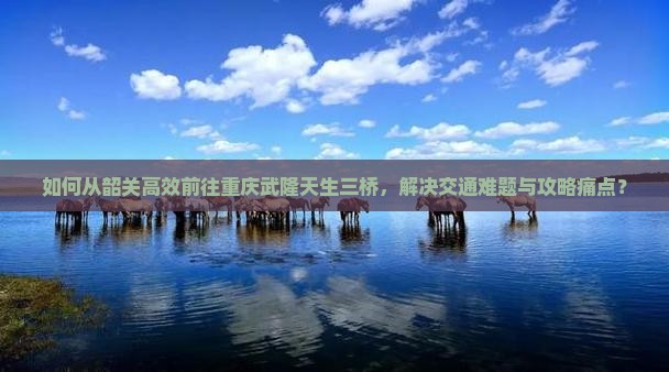 如何从韶关高效前往重庆武隆天生三桥，解决交通难题与攻略痛点？