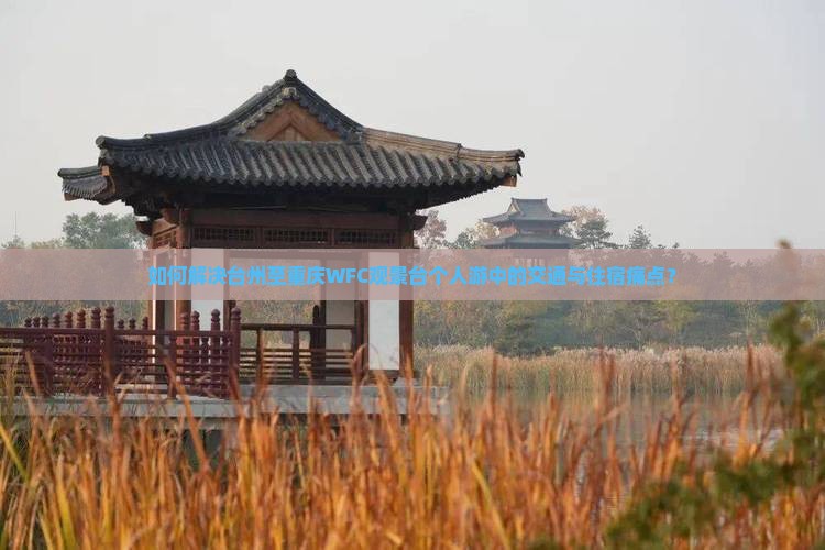 如何解决台州至重庆WFC观景台个人游中的交通与住宿痛点？