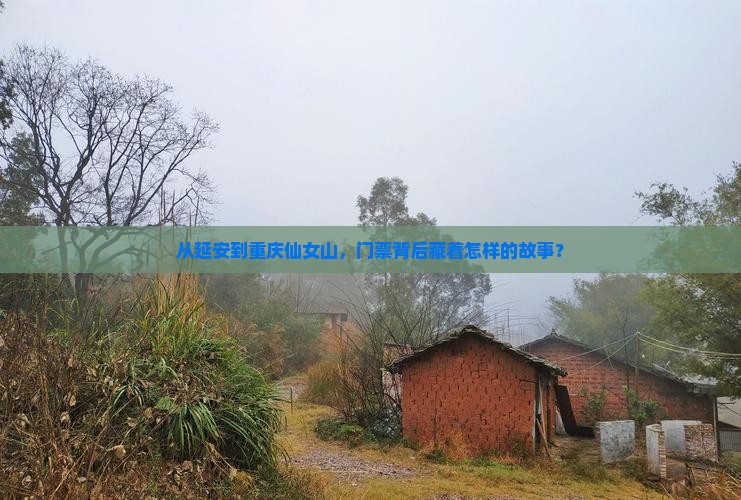 从延安到重庆仙女山，门票背后藏着怎样的故事？