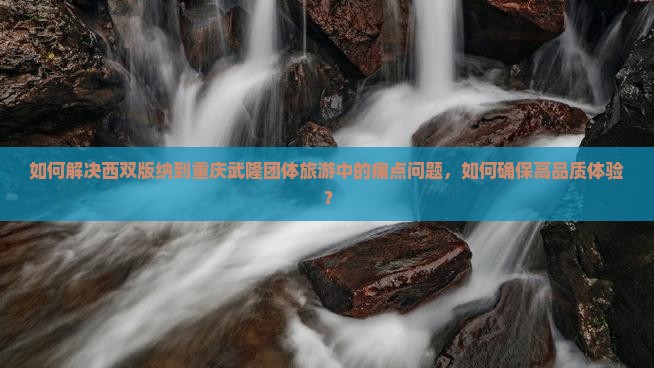 如何解决西双版纳到重庆武隆团体旅游中的痛点问题，如何确保高品质体验？