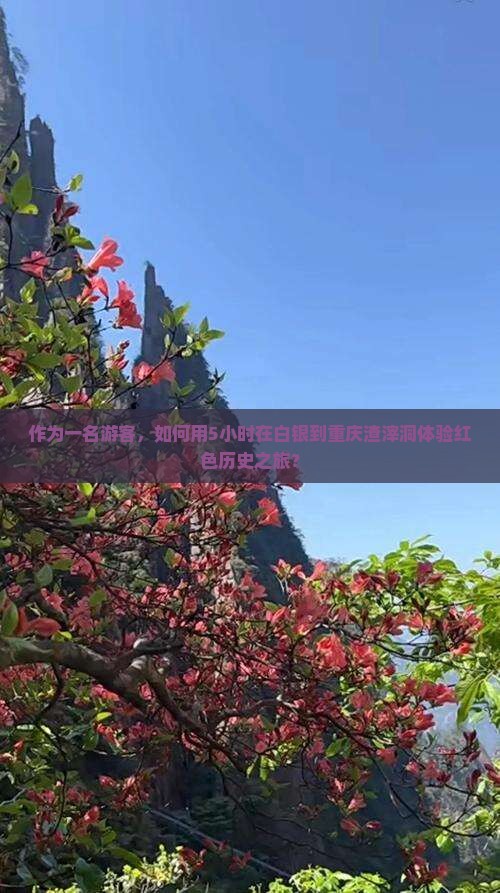 作为一名游客，如何用5小时在白银到重庆渣滓洞体验红色历史之旅？