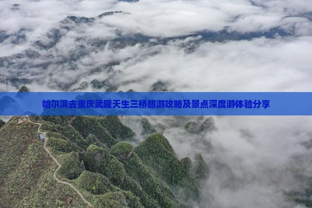 哈尔滨去重庆武隆天生三桥旅游攻略及景点深度游体验分享