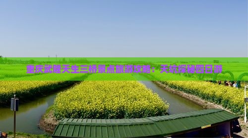 重庆武隆天生三桥景点旅游攻略：天坑探秘四日游