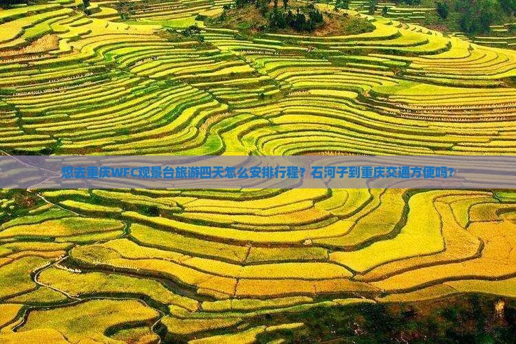 想去重庆WFC观景台旅游四天怎么安排行程?石河子到重庆交通方便吗? 想去重庆WFC观景台旅游四天怎么安排行程?石河子到重庆交通方便吗?