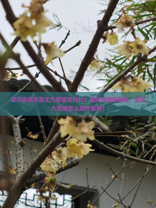 漯河去重庆蚩尤九黎城旅行社?重庆旅游新地标,蚩尤九黎城怎么玩才最爽? 漯河去重庆蚩尤九黎城旅行社?重庆旅游新地标,蚩尤九黎城怎么玩才最爽?