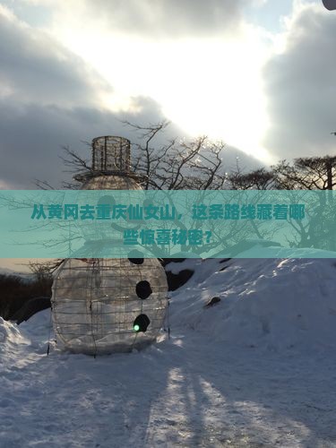 从黄冈去重庆仙女山，这条路线藏着哪些惊喜秘密？