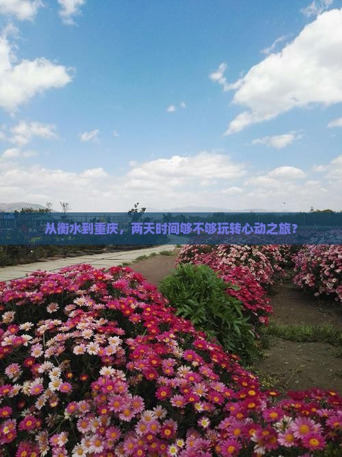 从衡水到重庆，两天时间够不够玩转心动之旅？