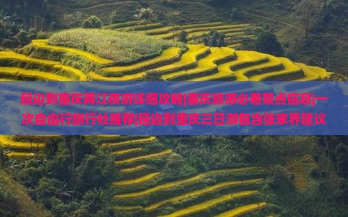 延边到重庆两江夜游详细攻略|重庆旅游必看景点信息|一次自由行旅行社推荐|延边到重庆三日游包含张家界建议