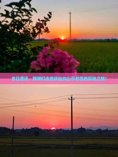 冬日童话，跟我们去重庆仙女山开启雪地探险之旅！