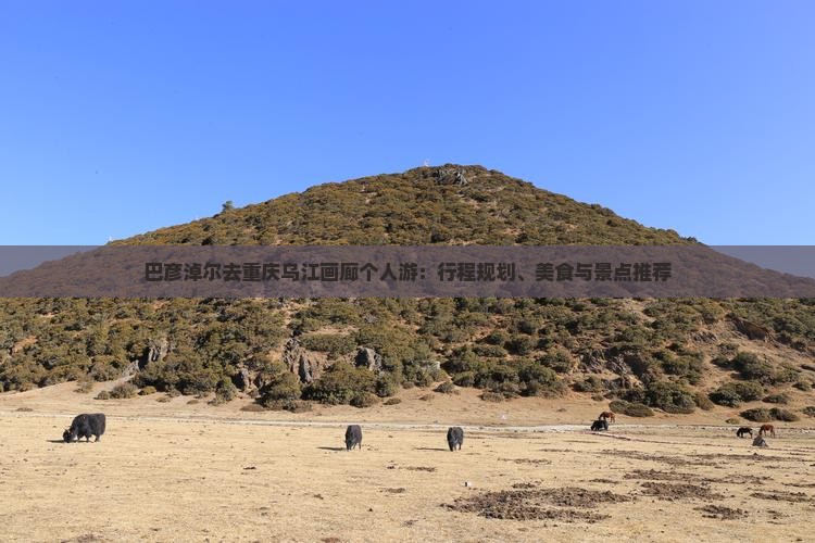 巴彦淖尔去重庆乌江画廊个人游：行程规划、美食与景点推荐
