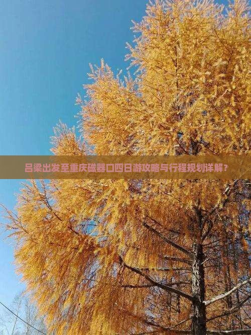吕梁出发至重庆磁器口四日游攻略与行程规划详解？