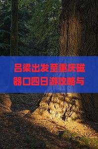 吕梁出发至重庆磁器口四日游攻略与行程规划详解？