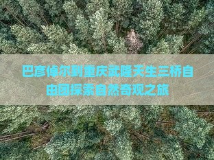 巴彦倬尔到重庆武隆天生三桥自由团探索自然奇观之旅