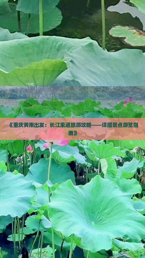 《重庆黄南出发：长江索道旅游攻略——详细景点游览指南》