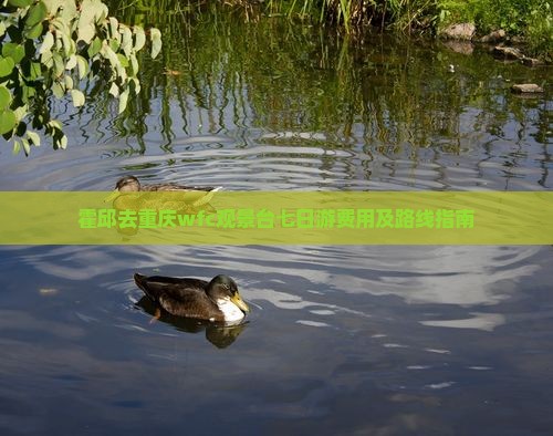 霍邱去重庆wfc观景台七日游费用及路线指南