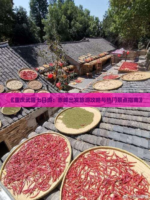 《重庆武隆七日游：赤峰出发旅游攻略与热门景点指南》