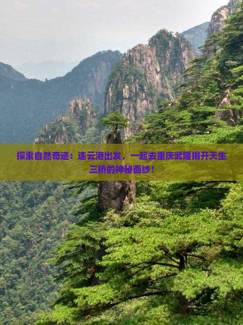 探索自然奇迹：连云港出发，一起去重庆武隆揭开天生三桥的神秘面纱！