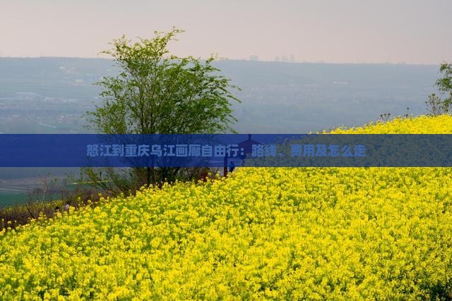 怒江到重庆乌江画廊自由行：路线、费用及怎么走