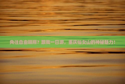向往自由翱翔？跟我一日游，重庆仙女山的神秘魅力！