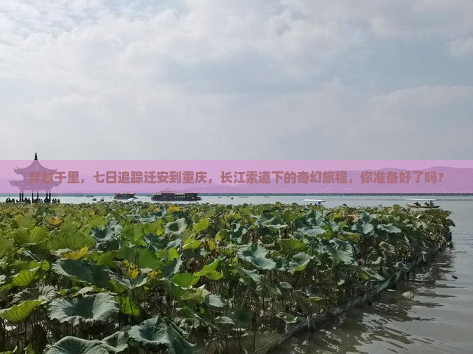 穿越千里，七日追踪迁安到重庆，长江索道下的奇幻旅程，你准备好了吗？