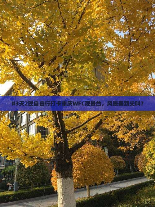 #3天2晚自由行打卡重庆WFC观景台，风景美到尖叫？
