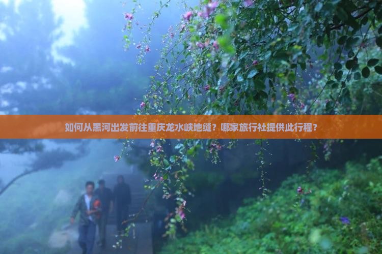 如何从黑河出发前往重庆龙水峡地缝？哪家旅行社提供此行程？