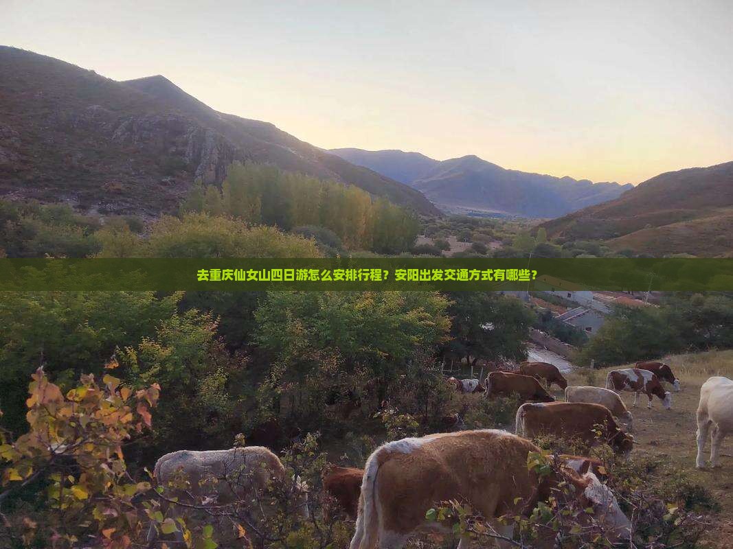 去重庆仙女山四日游怎么安排行程？安阳出发交通方式有哪些？